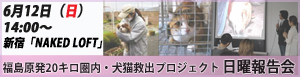 犬猫救出プロジェクト緊急報告会
 